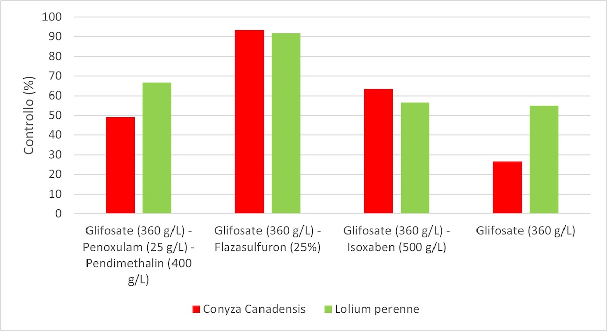 Grafico 3: Controllo di Erigeron canadensis e Lolium perenne a ventotto giorni dal trattamento erbicida